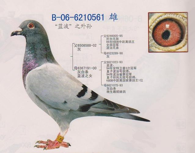 戴克家用空调外机接线图