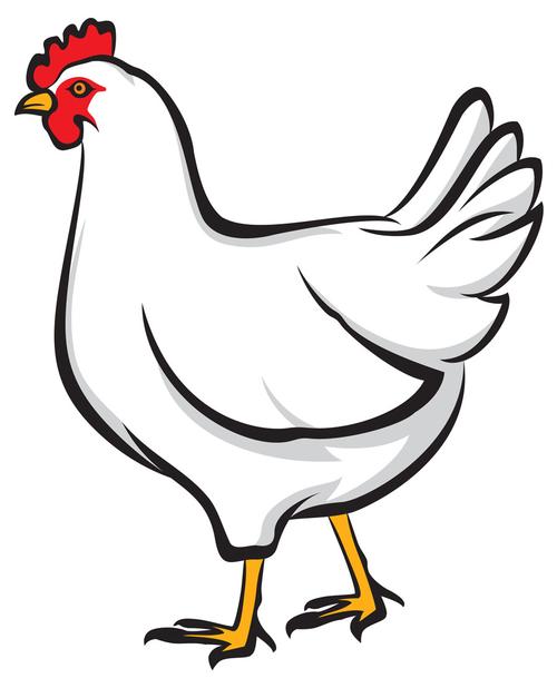 简笔鸡画鸡简笔画-简笔鸡