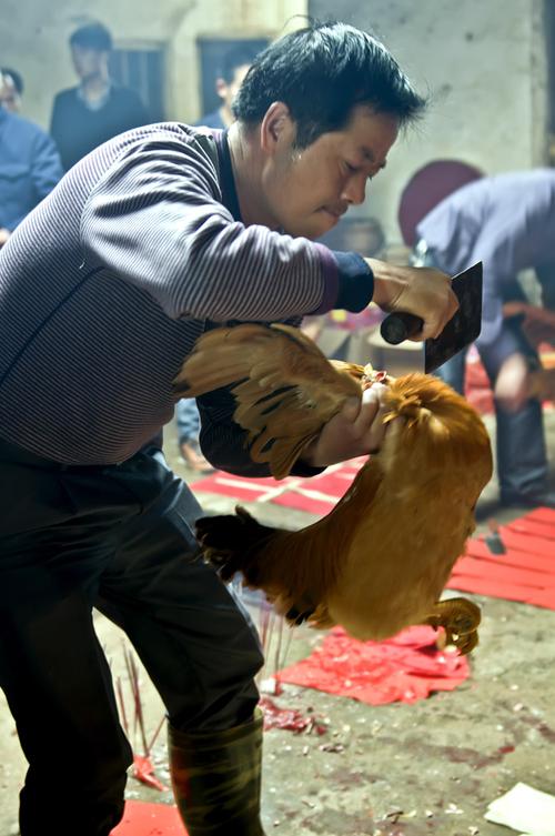 瑞金叶坪的割鸡迎春接福年俗