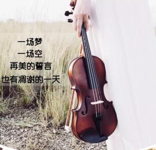 抖音最红的情感语录,温情暖心,独一无二!