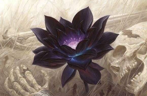四朵远古神莲,第三无天黑莲,第一不为天地所容,化成三