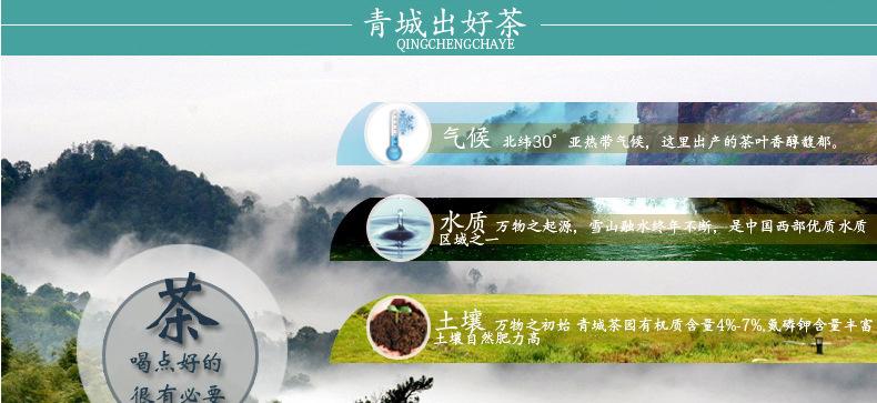 四川特产 茶叶 新茶绿茶直销青城 100g香绿袋装