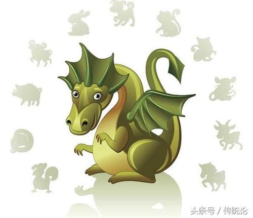 属兔的桃花劫什么属相,63年属兔什么命