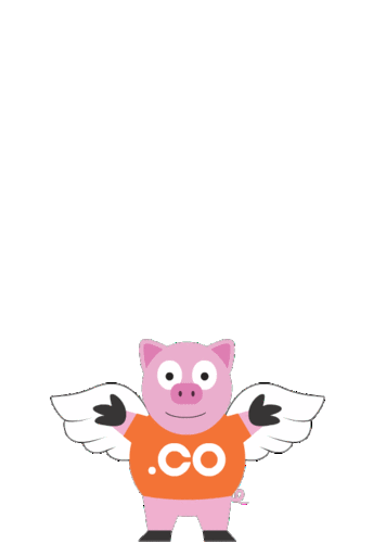 安卓用户  保存.co飞天猪表情到手机相册