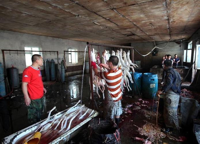 女肉畜图片_另类宰杀女肉畜小艳_秀色宰杀女肉畜图片