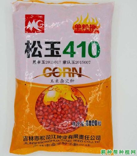 松玉410玉米品种好不好