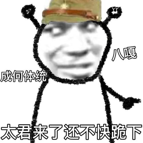 日本太君来了还不快跪下,八嘎-i表情表情包