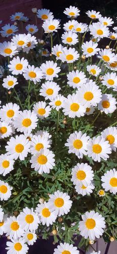 一组全面屏手机壁纸