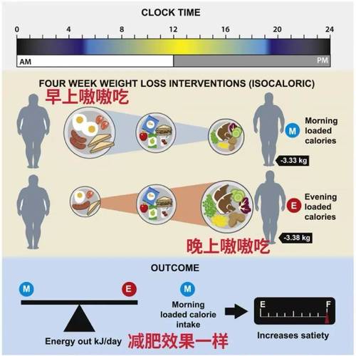 他们每天的能量摄入总数相同,一组「早上嗷嗷