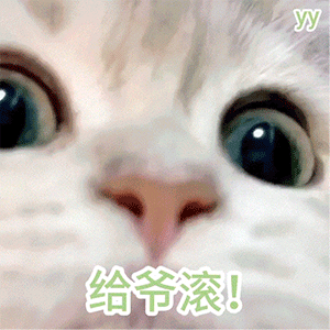 给爷滚(猫猫动图表情包)_给爷_动图_猫猫表情