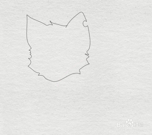 用曲线画出海盗猫的头部外形轮廓.