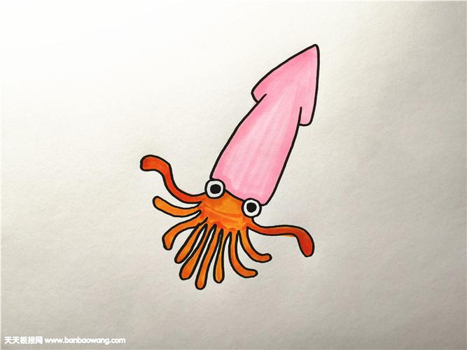 乌贼怎么画简单又好看