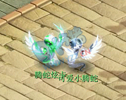 腾蛇炫卡:人人都能化身超级神蛇