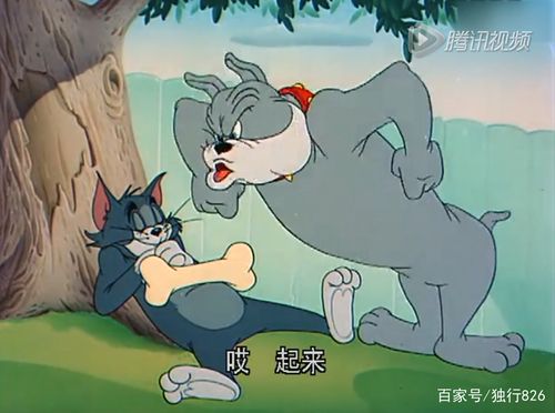 杰瑞看到狗狗很爱自己的骨头,于是偷走放在汤姆的身上