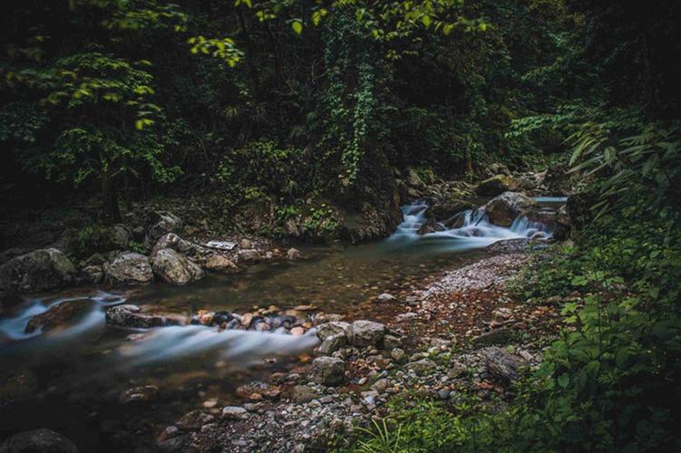 崇州九龙沟风景名胜区位于崇州市三郎镇境内,面积170多平方千米,距