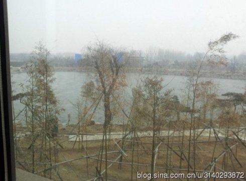 莱州黑社会大佬臧文龙