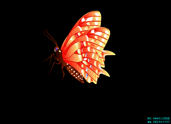 550_400gif 动态图 动图