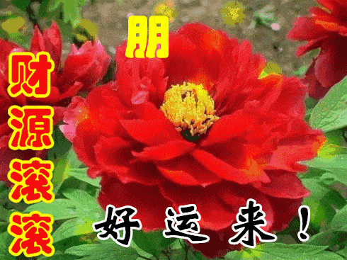 中老年表情包:活自己喜欢的活法,就是最好的活法!