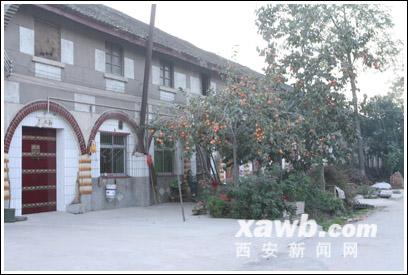 礼泉两个模范村的兴衰之路