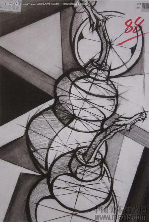 美术高考图库中心 2016年四川美术学院设计素描高分试卷 -> 作品欣赏