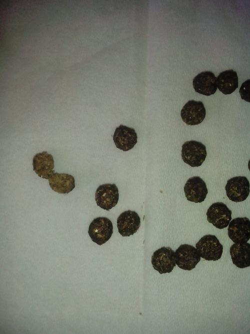 兔兔的便便这样正常么?(附图)