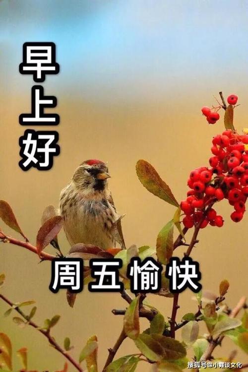 周五早上好送你暖心的祝福美图带字带问候