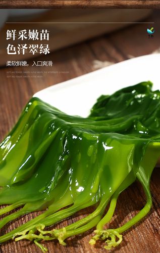 5袋免邮 霞浦盐渍海带苗头水 海带芽嫩苗火锅凉拌配菜