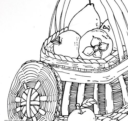 绘画社团|线描写生色彩表达 硕果累累