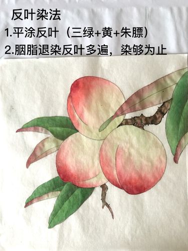 《寿桃图》画法步骤