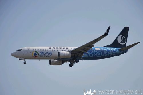 山东航空738腾讯网彩绘,b-5119