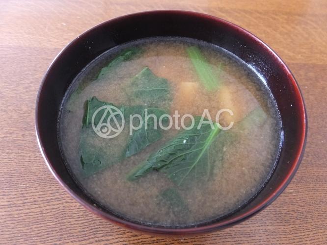 照片素材(图片): komatsuna味噌汤