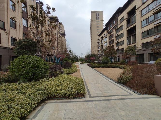 鸿鑫御景,谷山路,近君山西路-枣庄鸿鑫御景二手房