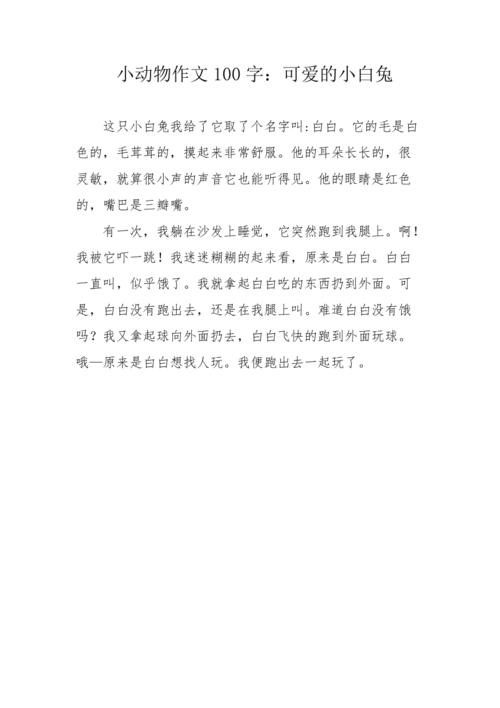 小动物作文100字:可爱的小白兔