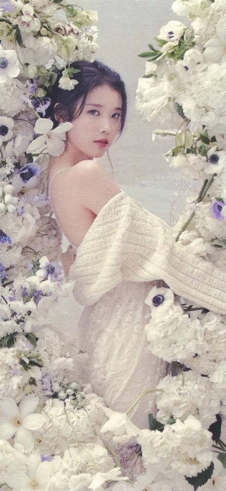 iu绝美手机壁纸