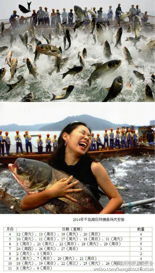 杭州市旅游委微博:【千岛湖巨网捕鱼对广大游客开放啦】