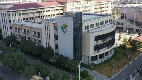 市晋光小学(东海校区)