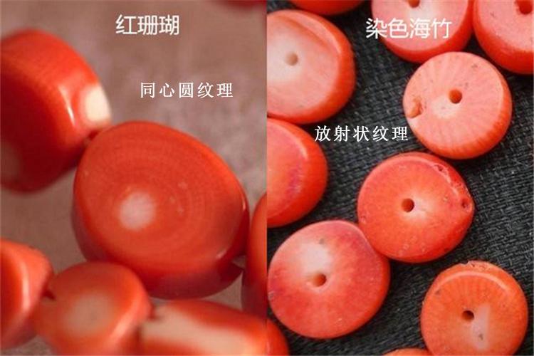红珊瑚的鉴别方法,红珊瑚鉴别图解