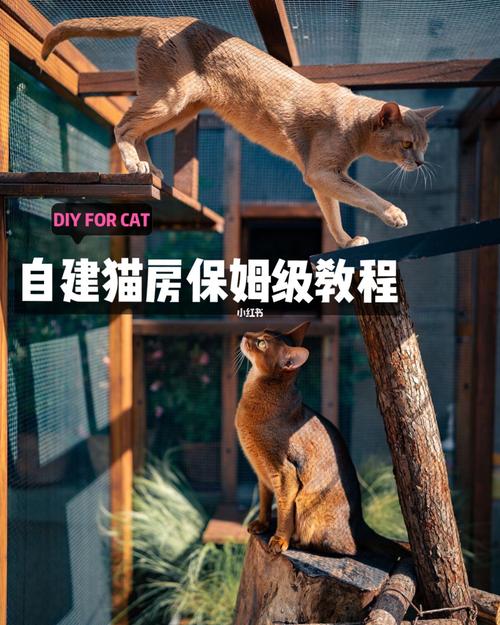 diy自建猫别墅保姆级教程图纸步骤材料08