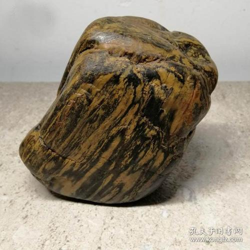 木化石原石,水冲木化石,纯天然"沉香木化石"木化石,极