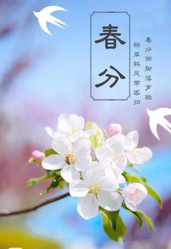 春分节气有三候,一候元鸟至;二候雷乃发声;三候始电.