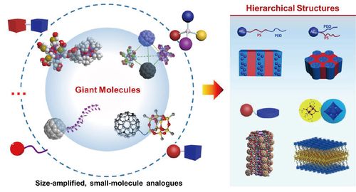 giant molecules: where chemistry, physics, and bio-science meet
