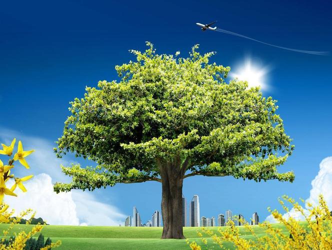 一棵大树自然风景图片