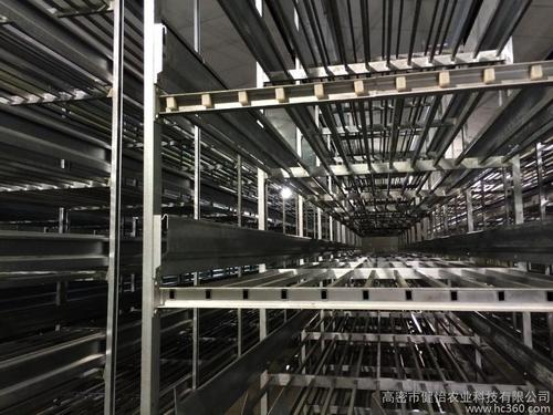 供应生产销售双孢菇工厂化生产专用设备