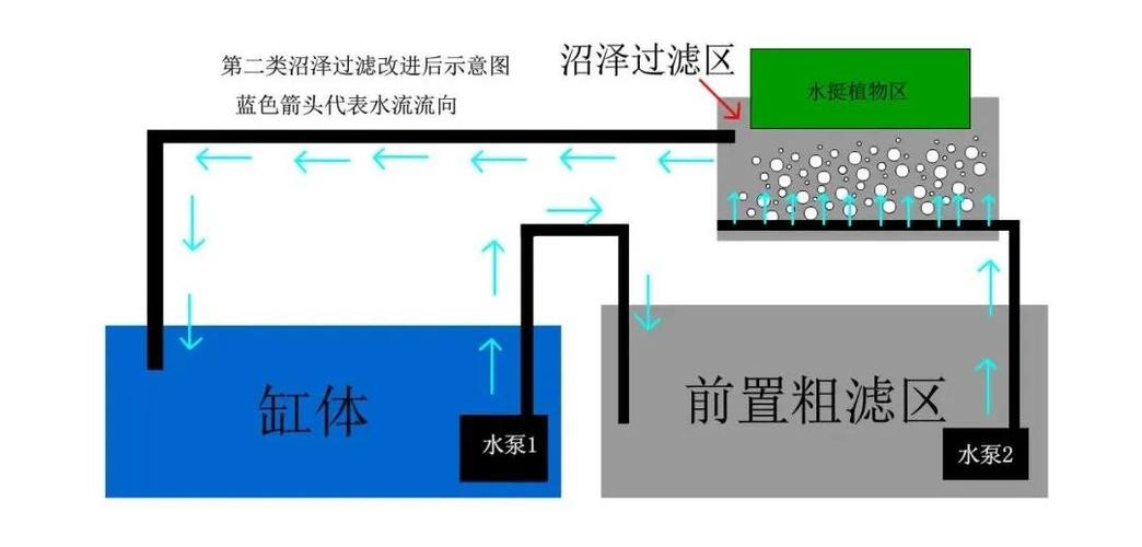 模拟自然的净水方式,浅谈养龟沼泽过滤系统设计