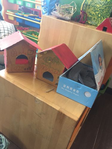 做鸟窝_健康幼儿园乐乐班_新浪博客