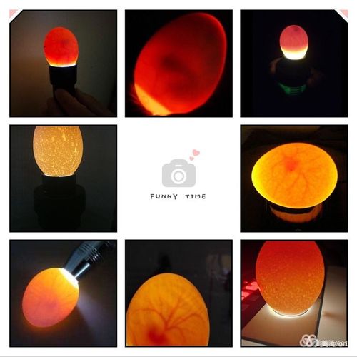 21天见证生命的力量