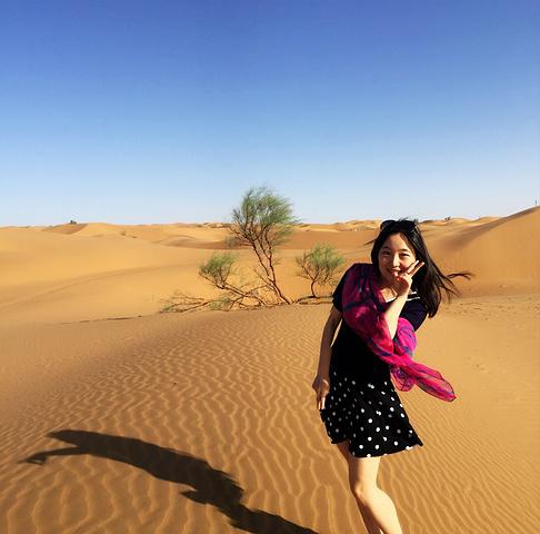 看了下时间,6点多了,日出是没了_沙坡头"的评论图片