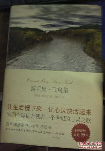 新月集飞鸟集手抄报 手抄报高清
