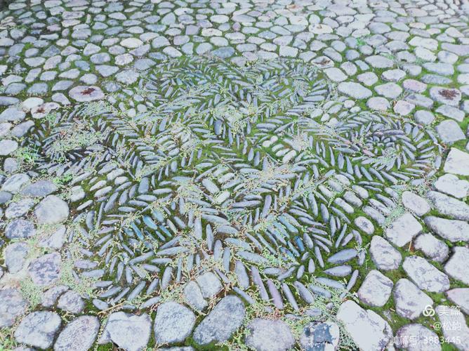 庭院内地面由鹅卵石铺砌而成,并拼出三个古朴美丽的拼花图案.