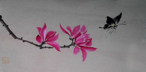 小小玉兰花.小画怡情.